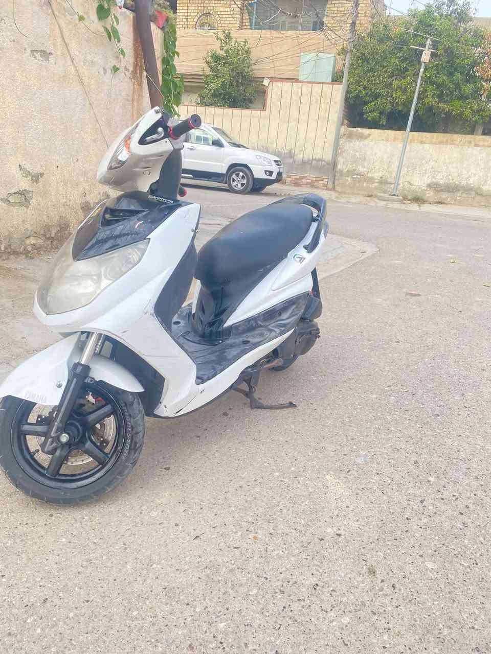 سكنس فحل • مرخصة • خان بني سعد