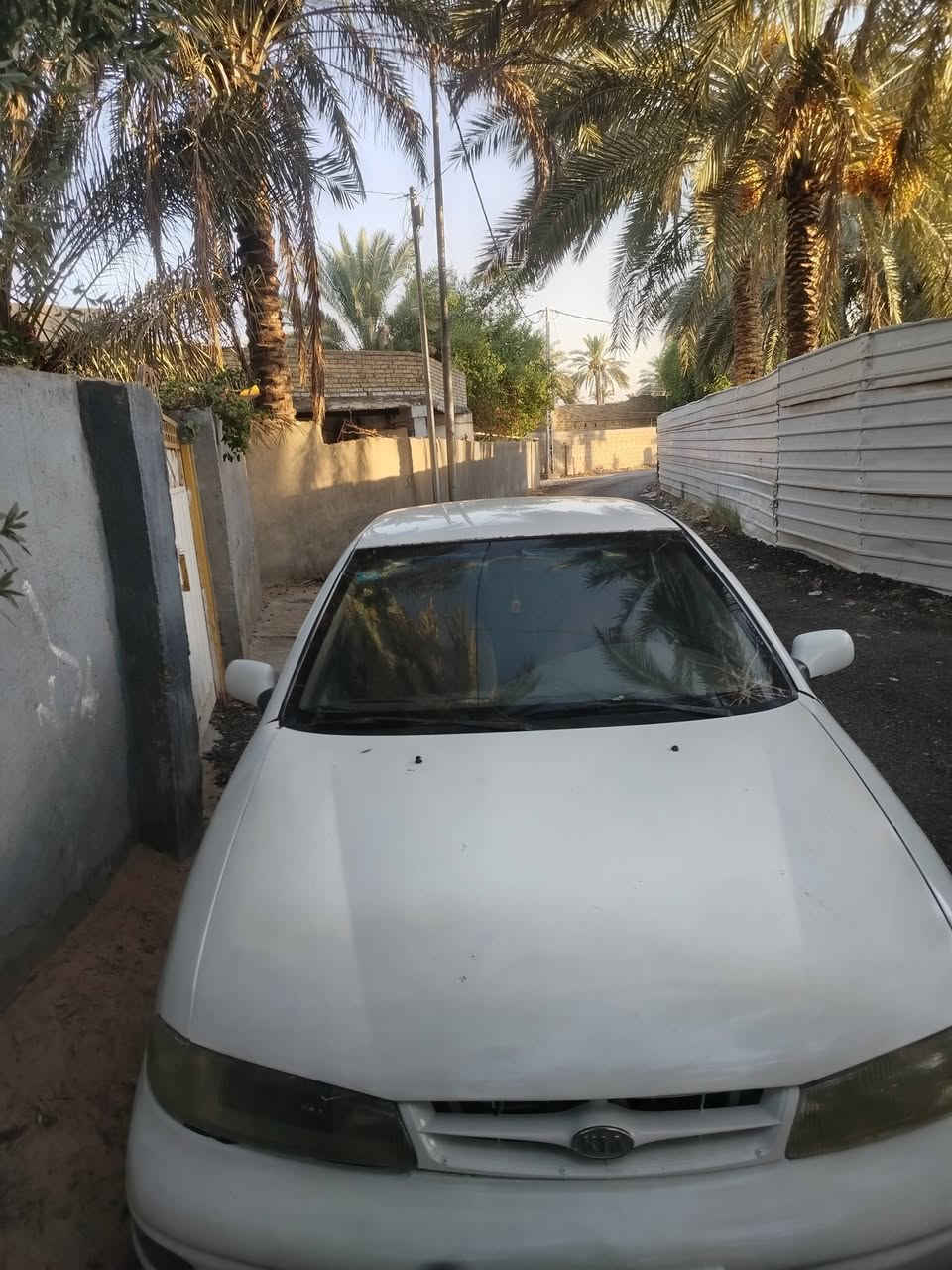 سيفيا للبيع موديل 96 سنويه ل ٢٨ رقم بابل جاهزه مابيه نقص السياره بسمي مصبوغه حزام للجماليه السعر ٣٠ وبيها مجال
*********** بيه واتساب
