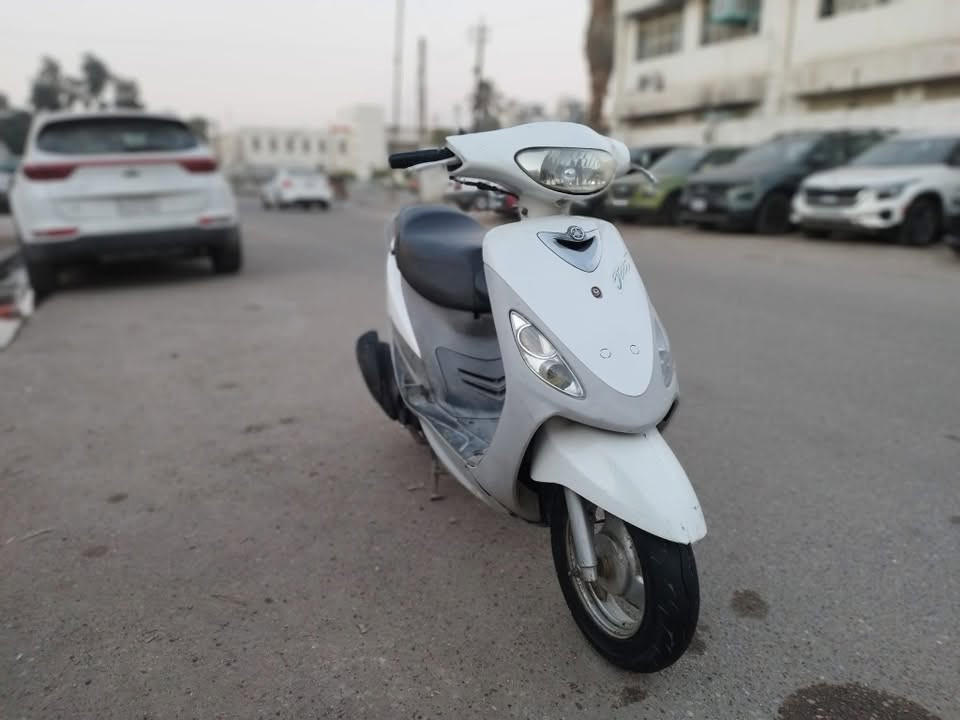 ماكس منغولي • نضيفة