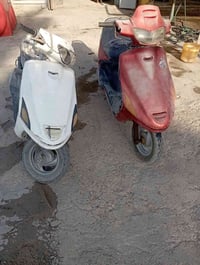فراشة • شغال • كوم حديد