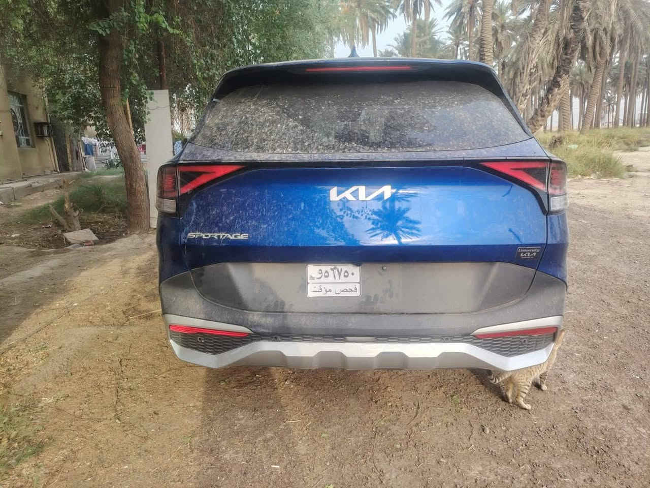 سبورتج • ٢٠٢٤ • وارد امريكي