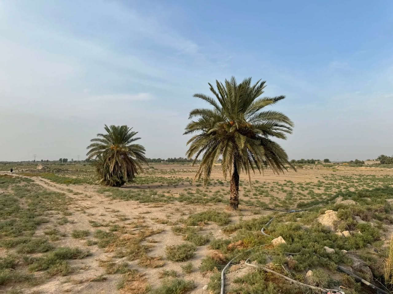 ٥٠ دونم • مفرك الكفل • نهر سقي