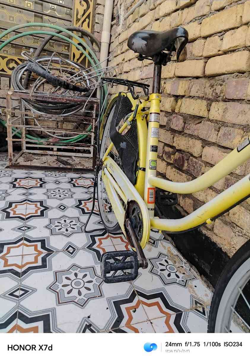 باسكل • ليموني • مراوس