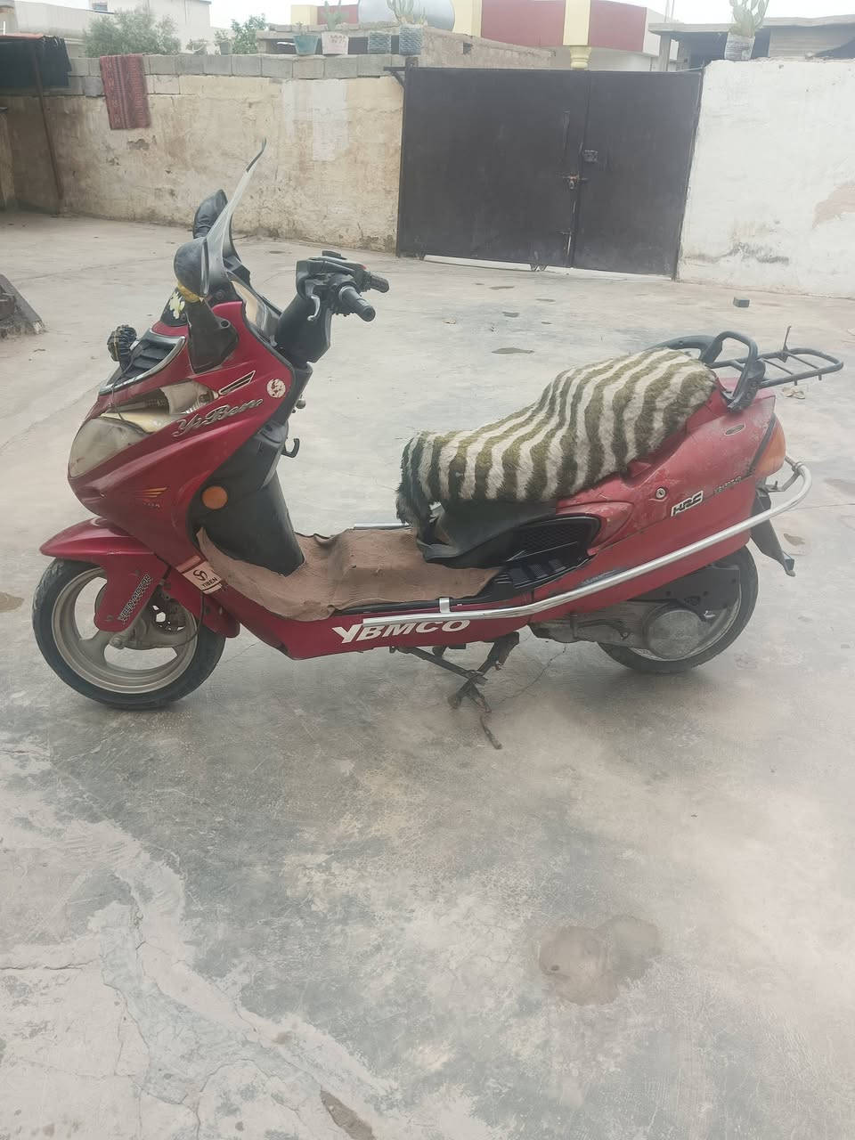 يوبن 13ارنب • سلف • مستعجل