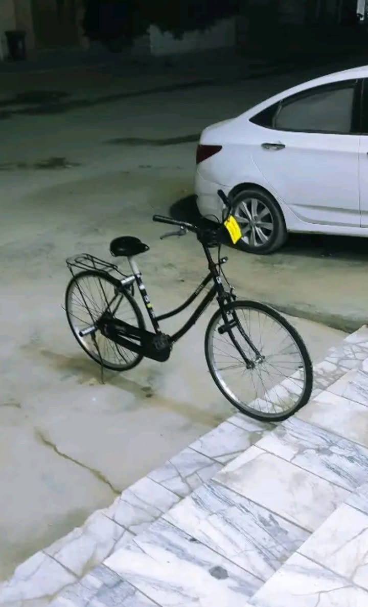 باسكل • ٢٦ • نجف