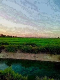 ٢٢دونم • التاجي ذراع دجلة • سند مستقل