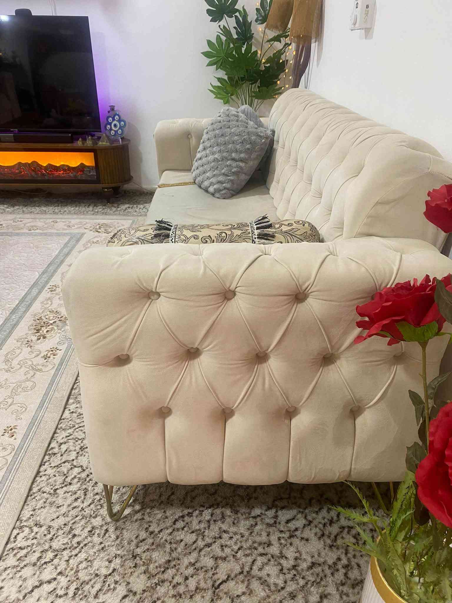 قنفات • نظيف • ١٠ نفرات