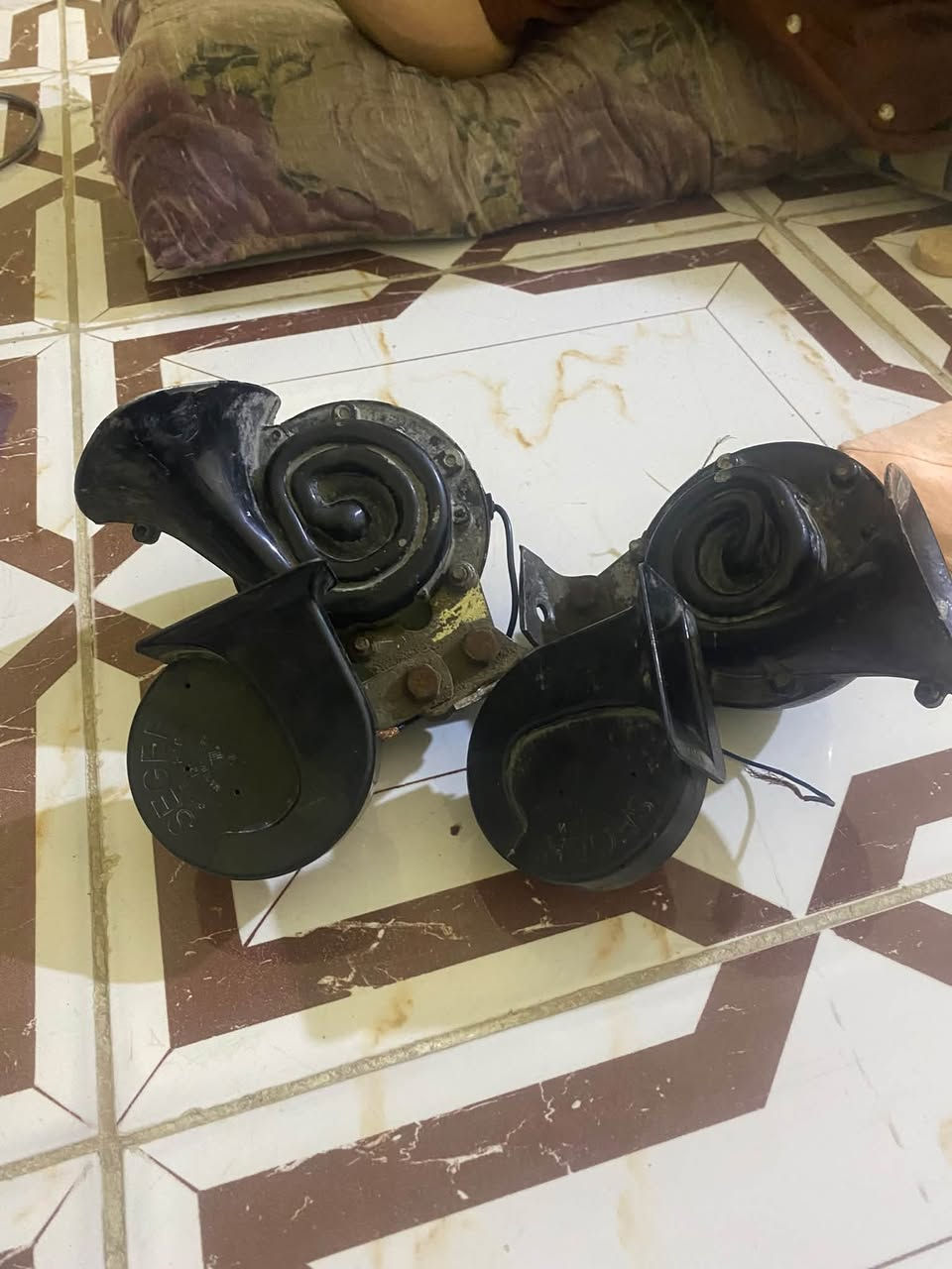 هورنات • طاط شرد • مفحوص