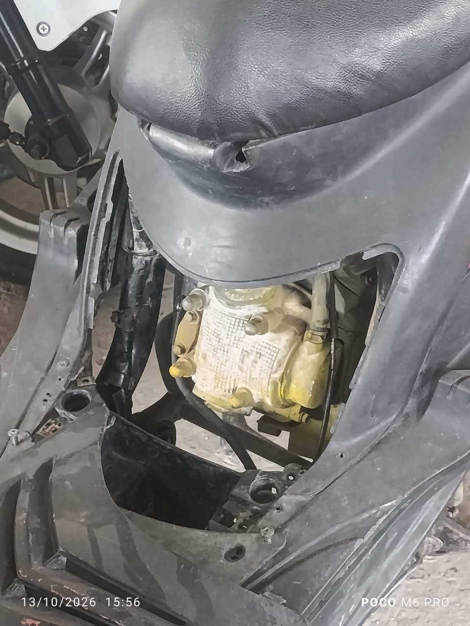 ماكس عدلة