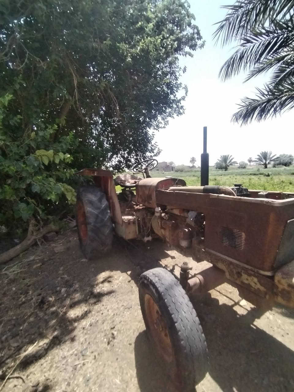 سلام عليكم عنتر للبيع
العنوان بغداد الرضوانيه
***********
سنويه ورقام بدون تحويل
