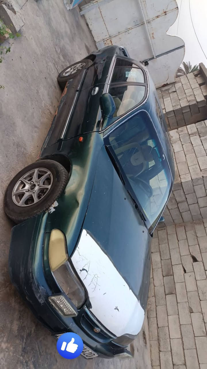 سوناته • رقم اربيل • الضلوعية