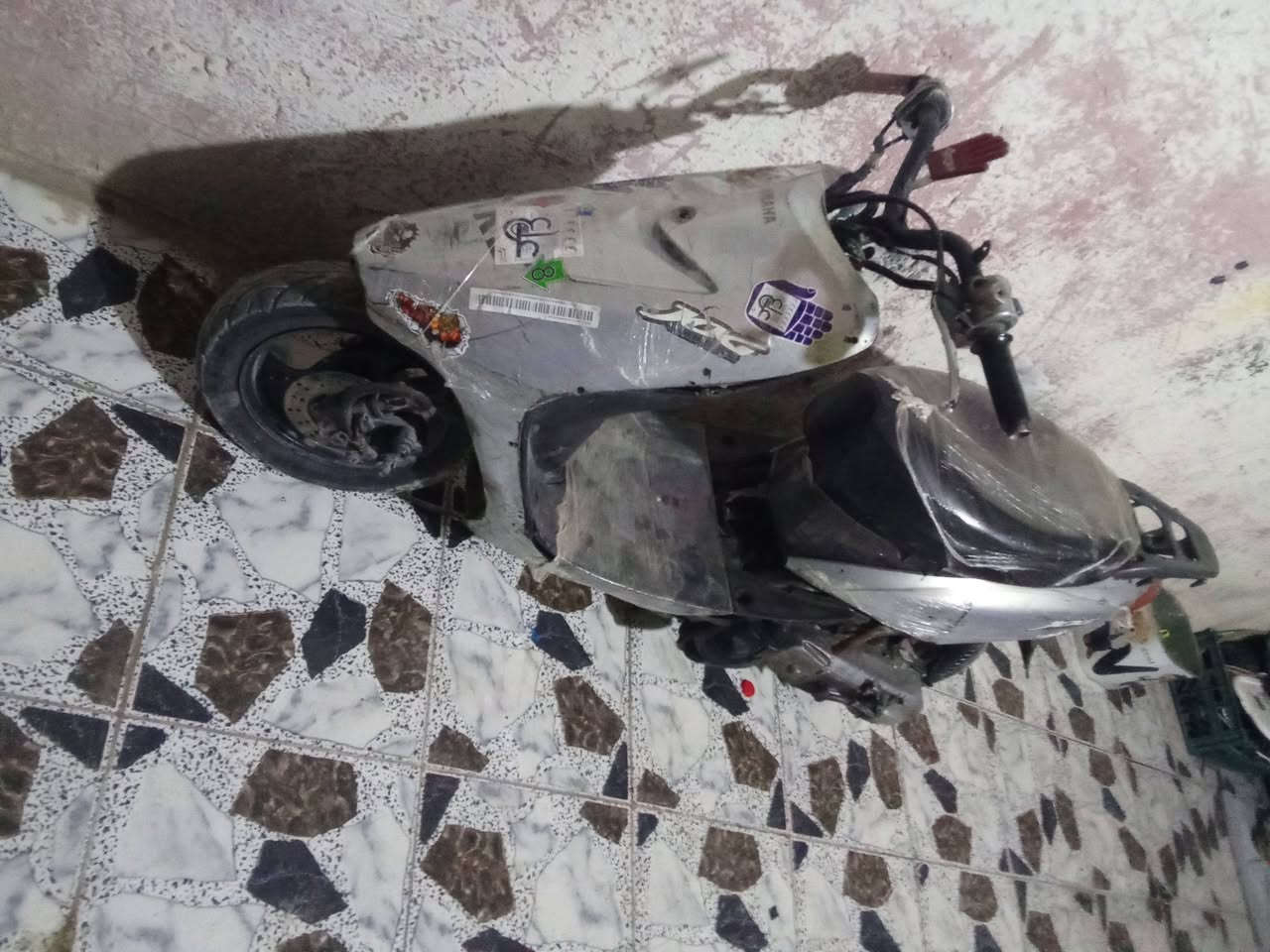 عصفوريه شغاله هندر
السعر  120 
بغداد الشعب 
خاص راسلني
