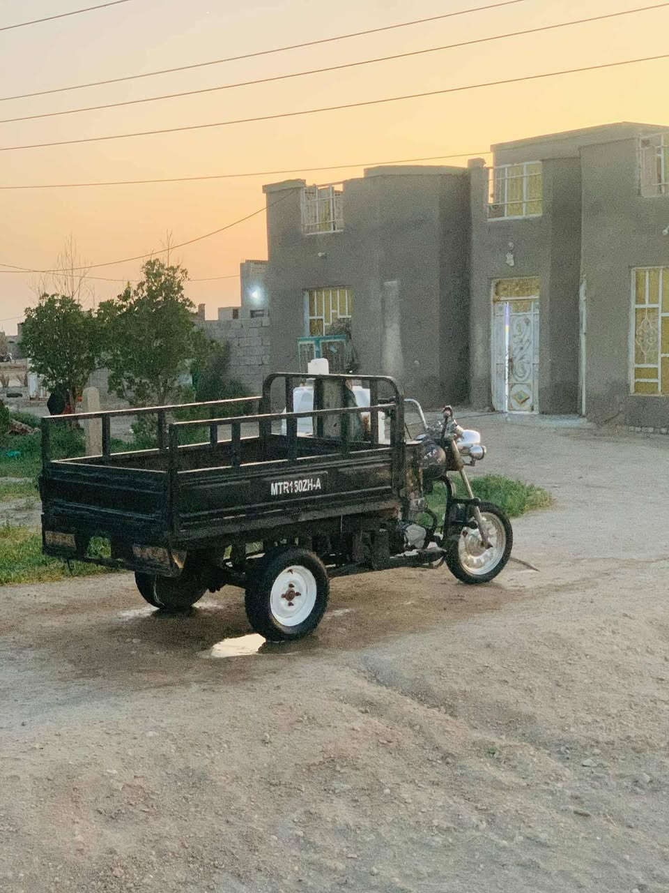 ستوته كلك • ٢٠١٦ • شاصي مگفول