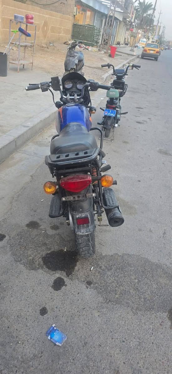 بوكسر • جبلي • ٢٠٢٣