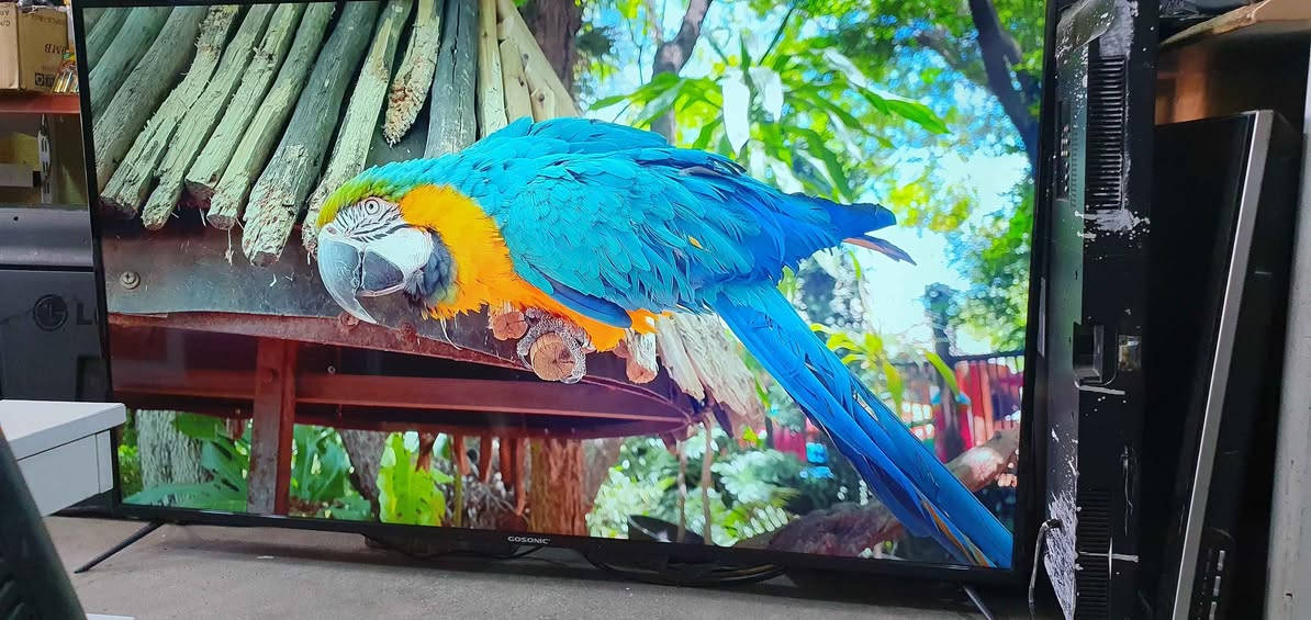 تەلەفیزۆنی گۆسۆنیک سمارت 4K سەتەلایتی تێدایە
قەبارە 65 خاوێنە نرخی 380000 بەشەرتە لە هەولێرە
پەیوەندی بکەن بە واتساپ و ڤایبەر *********** أربيل, العراق
