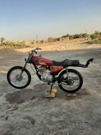 ستوته • اوراق مكفوله • مراوس