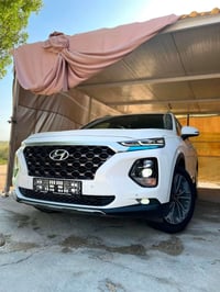 سنتافي • ٢٠١٩ • مشي ٤٦٠٠٠