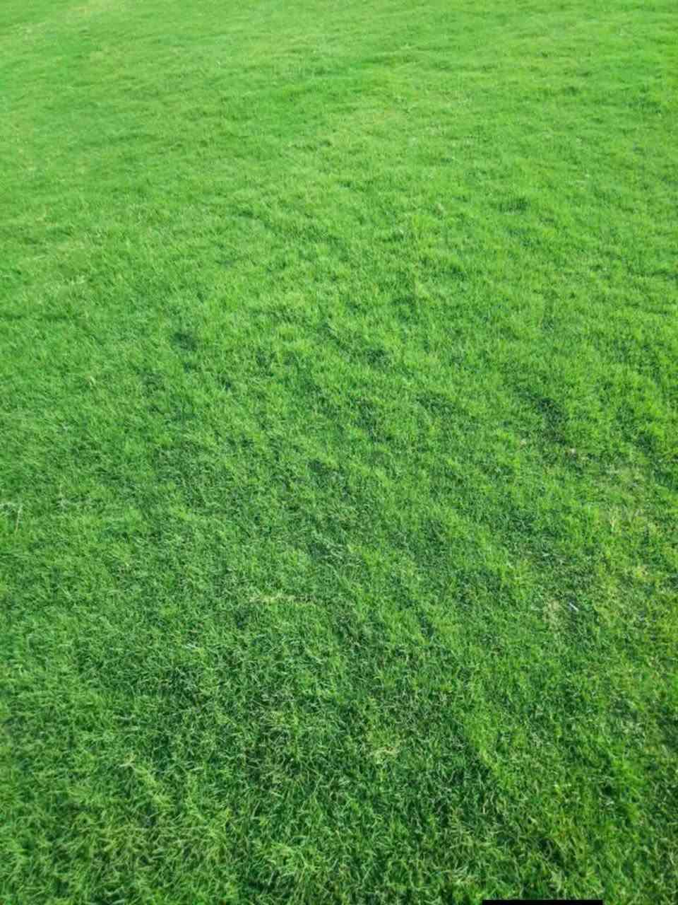 مزارع  الشمال للثيل الطبيعي 🍀
 متوفر كافة انواع الثيل 🍀
( امريكي - الهندي - الايطالي - الفرنسي )
لتجهيز... مشاتل🌴
والدوائر حكوميه🏦
منازل🏡 
منتزهات🏄
موجود خدمة توصيل 🚕
لكل محافظات العراق 🚕
للطلب يرجى التواصل مع الصفحة او مراسلة واتساب او الاتصال ع***********واتساب ***********

