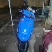 فراشه