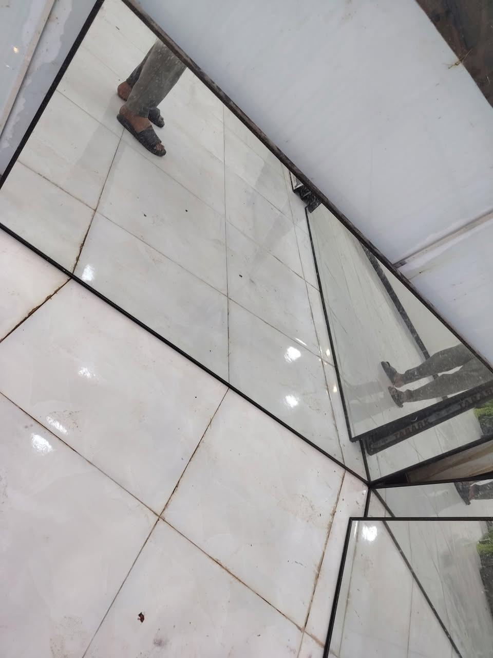 جام • مرتب • ٦قطع