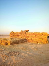 تبن • درجه اولى • نجف