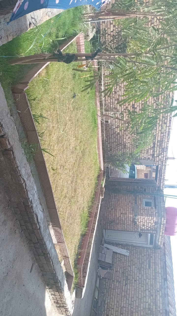 ​✨ فرصة ذهبية لا تعوض.. لقطة لعشاق الفخامة والاستثمار الراقي في الديوانية! ✨
🏠 بيت حالي للبيع في " التقية الثالثة "
موقع تجاري وسكني استراتيجي يملي العين، مساحته الإجمالية 400 متر، ومساحة البناء الضخمة تفوق الـ 280 متر (تصميم حديث مو قديم، بناء درجة أولى).
🔥 ملاحظة ذهبية: البيت برغم فخامته السكنية، يصلح وبكل جدارة أن يكون "مدرسة أهلية نموذجية" أو "مقر لشركة ضخمة" نظراً لمساحته وتوزيعه العبقري!
​📍 العنوان بالتفصيل الممل:
التقية الثالثة • شارع مجمع الروان (التبليط) • أول فرع على اليسرى • شارع 40 العريض والحيوي.
​📐 التفاصيل والمواصفات الخرافيـة:
​🟢 الطابق الأرضي (الفخامة من أول خطوة):
​واجهة البيت : 15 متر.
​حديقة أمامية تفتح النفس + كراج سيارة واسع + كراج خدمي إضافي صغير.
​مطبخ كبير جداً (حار وبارد) ببطنه مخزن مرتب لغراض البيت.
​صالتين كبار (وحدة مركزية وسطية والثانية صالة غرف النوم المريحة).
​استقبال فخم جداً تغليف مغربي درجة أولى مع نقوش مغربية أصيلة تتباهى بيها كدام ضيوفك.
​غرفتين نوم رئيسية قريبة على الخدمة.
​مجمع صحي متكامل.
​درج صاعد للطابق العلوي من مرمر درجة أولى.
​أرضية البيت كلها بورسلين إسباني درجة أولى + ممر محيط على داير البيت بالكامل.
​🔵 الطابق الأول (العلوي المستقل):
​3 غرف نوم بحجم كبير ومريح.
​صالة عائلية كبيرة وواسعة.
​مجمع صحي متكامل.
​مطبخ تحضيري لخدمة الطابق.
​عدد 2 سطوح واسعة تكعد بيها وتشم الهوا النظيف.
​💎 معلومات إضافية تريح بالك:
​البناء حديث وكلشي بيه نظيف ما يحتاج فلس إضافي.
​المنطقة متكاملة الخدمات 100% (ماء، كهرباء، تبليط، أمان).
​طابو زراعي (سند 25) ومكتمل المعاملة وجاهز للتحويل الفوري.
​💰 البيت ينطق فخامة وموقع ورزق.. لا تفوت الفرصة 
​📞 للاستفسار وتفاصيل أكثر، الاتصال حصراً على الرقم:
[***********]

