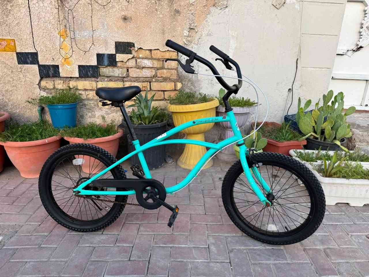 دراجة هوائية كلاسك حجم 20🚴🚴‍♀️
بالة حاوية نظافة 90%

السعر130 

للاستفسار ***********
