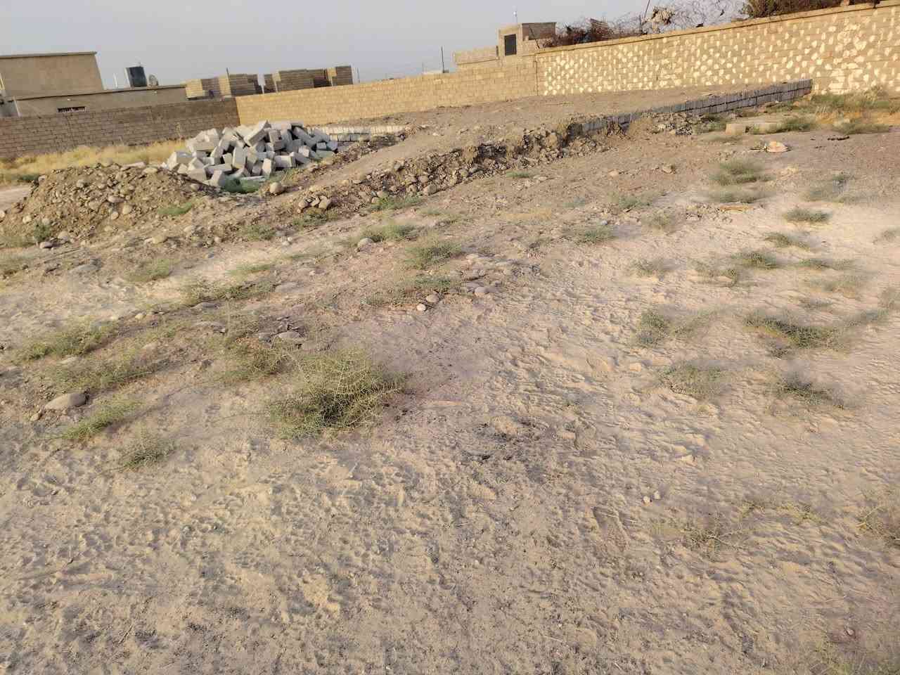 بعد السلام
*يوجد تكعيب مدفون كامل مساحه القطعه- 400م² - الموقع الرحه غريب عل حولي شارع الصب

موقع مميز 

📏 *تفاصيل التكعيب *:
- *المساحة*: 400م² متر
- *الحالة*: تكعيب كامل مدفون  
- *الخدمات*: كافة الخدمات واصلة 

✅ 
- مساحة 400م²  متر
- 
- 
- كافة الخدمات موجودة
- 
- بس تباشر بناء جاهز للبناء

 *السعر*: للاستفسار اتصل

📞 *للتواصل*:***********  
اتصل وتدلل
