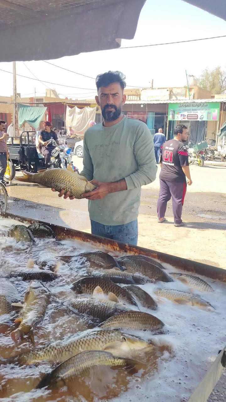 زورونه تجدون الأفضل  السماك
توصيل موجود ***********
