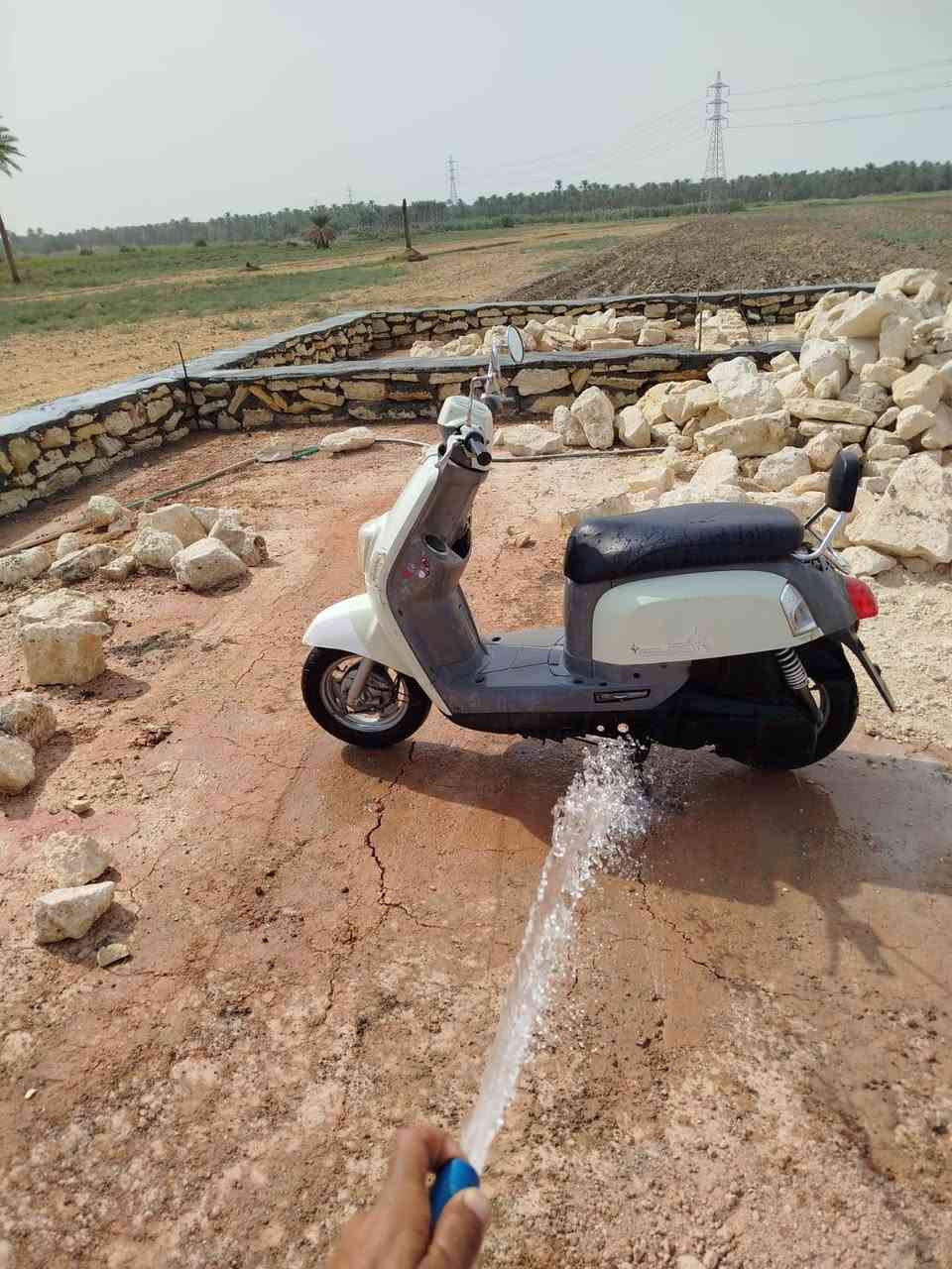 بوليس • ٢٠٠٨ • نجف