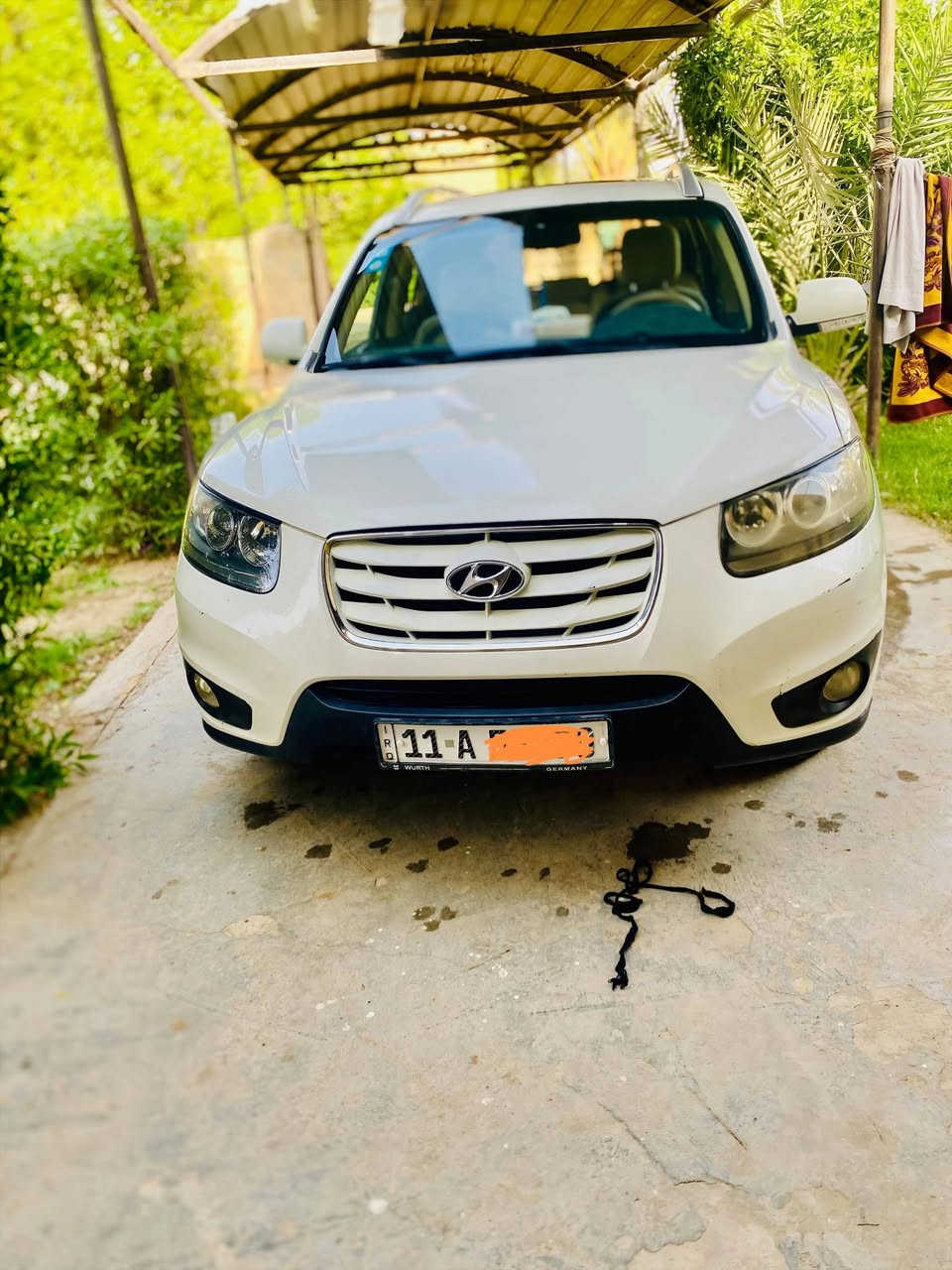 سنتافيا • ٢٠١١ • رقم بغداد