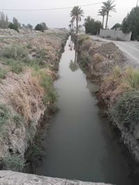 بابل جبلة • ٢٠ دونم • بيتين حديثين
