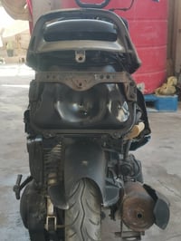 فراشة • فحل • نضيفة