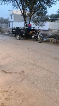ستوته • للبيع • كلك