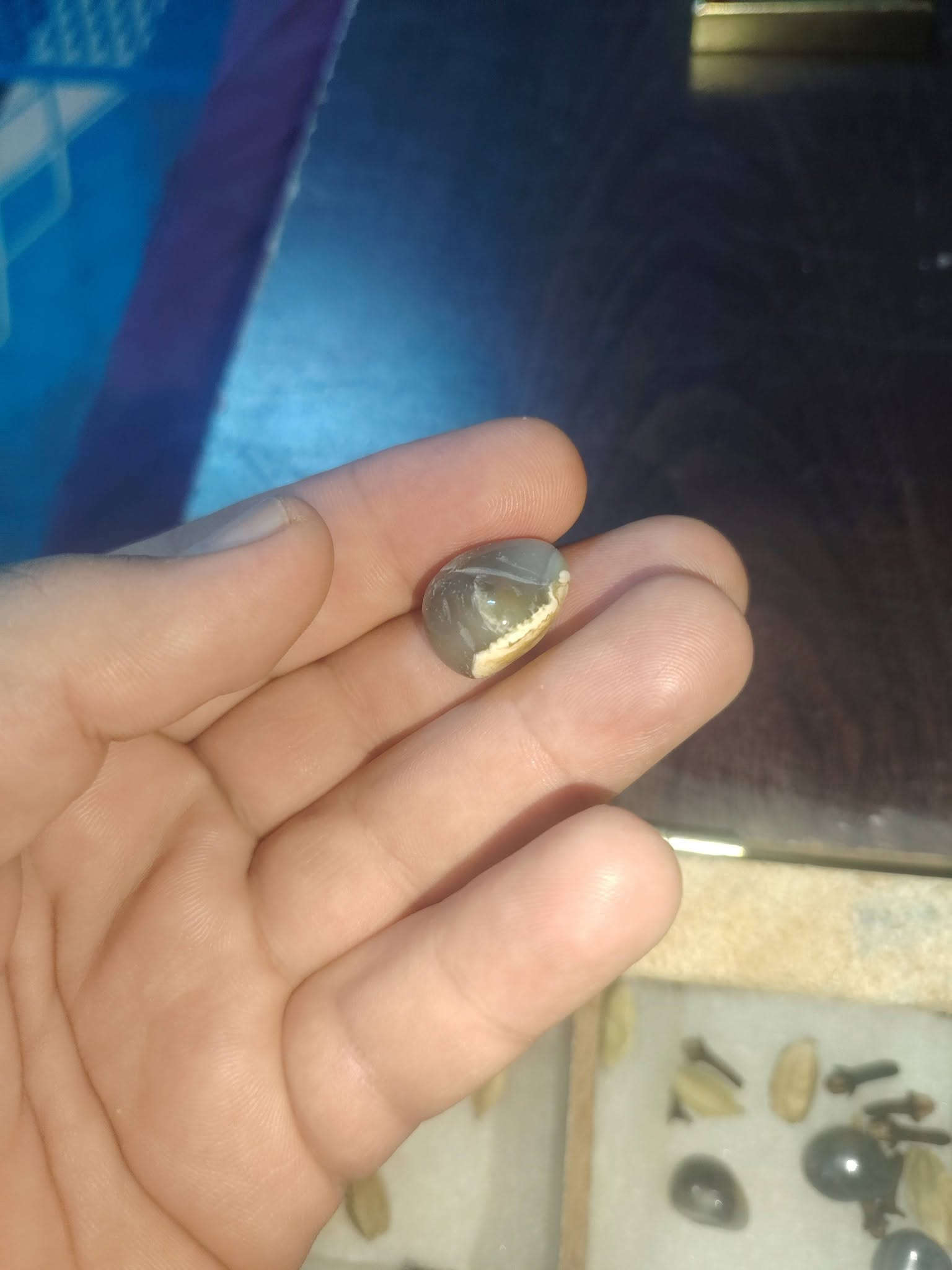 السلام عليكم جمال السليماني بيهن خوات وطاقتهن مرعبه والاروع كلهن يخبلن وحده اقوه من الثانيه كلمن وسعره للإستفسار الاتصال على ***********
