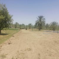 جبله بابل • ١٢٥٠م • شارع ٦م