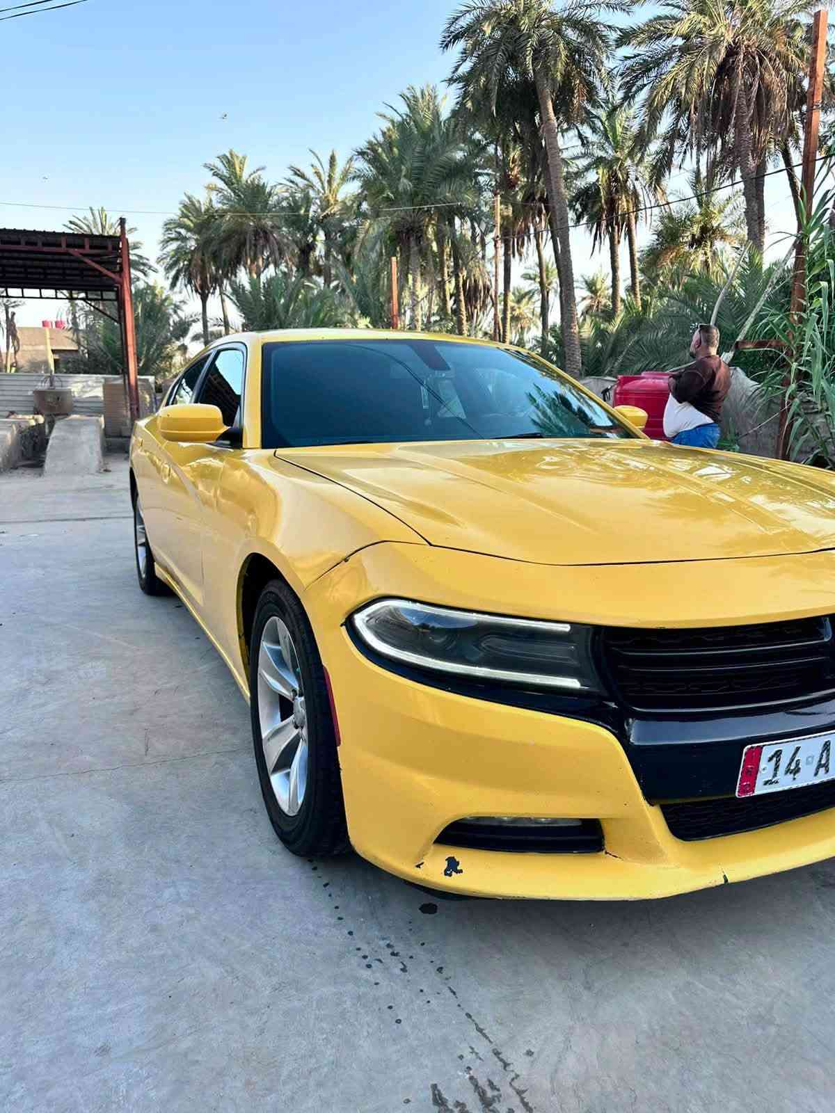 SXT • ٢٠١٨ • رقم بصرة