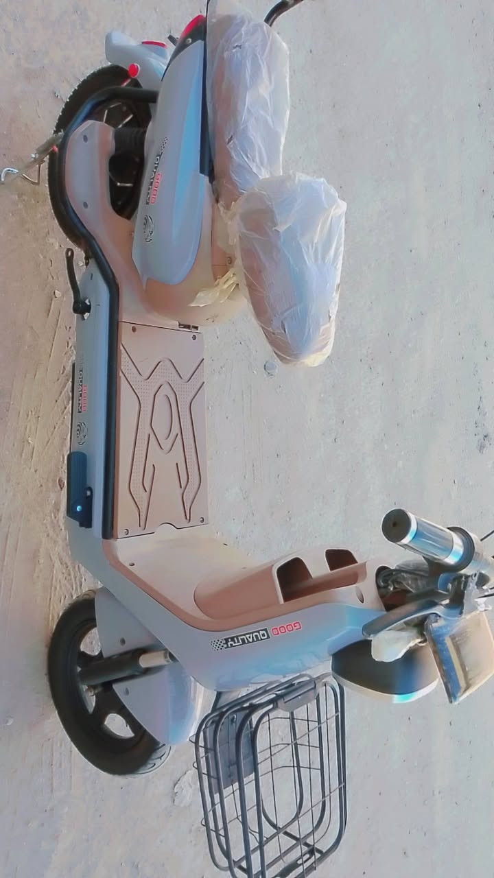 شحن ١٤ • ٢٠٢٦ • جديدة