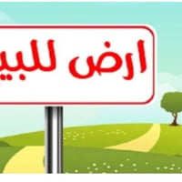 النيل • ١٠ دونم • طابو زراعي