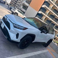 راف4 هايبرد • XSE • حادث صبغ