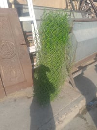 سيم • مستشفى العام • جيش شعبي