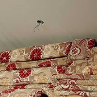 ديوان • ٣ دواشك • ٥ مساند