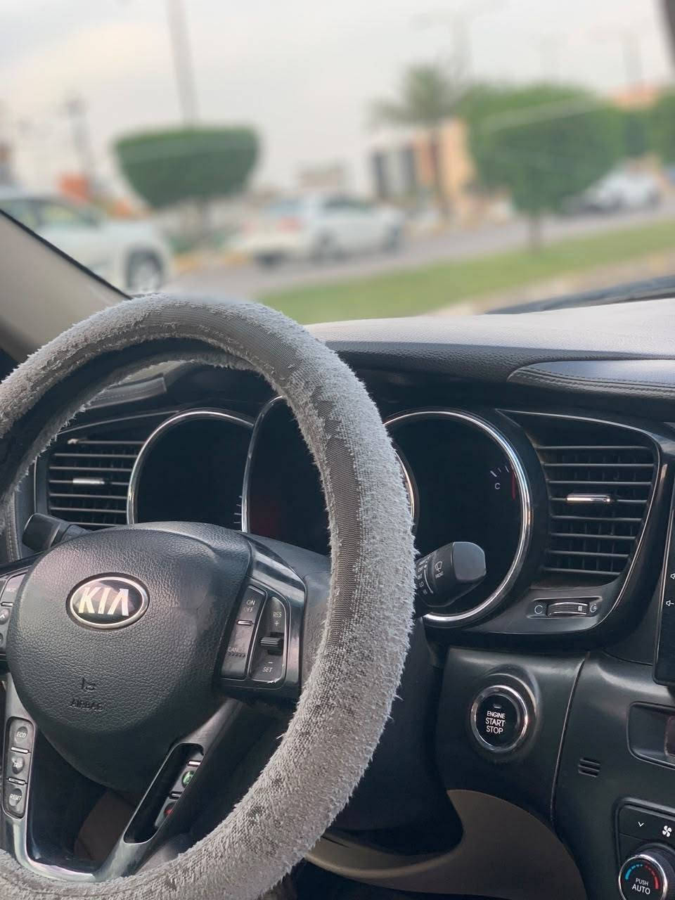 ٢٠١٣ • فول • ابو غریب