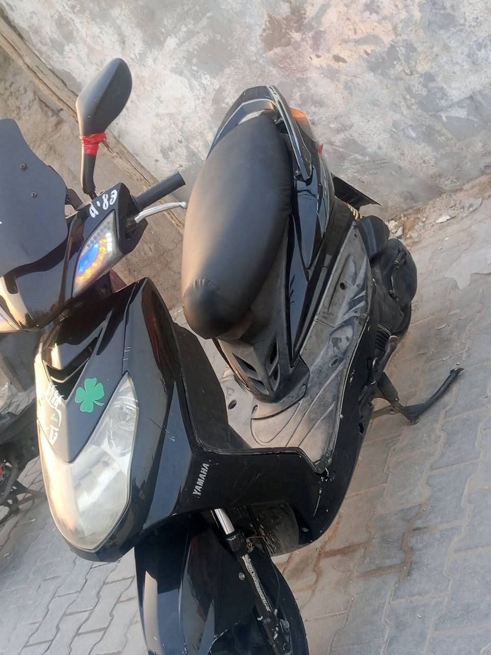 سكنس فحل • مراوس • سلف