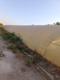 بيوت لايلون • ٥٦م • المسيب بابل