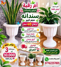 اكسسوارات نباتات • توصيل كل المحافظات • كمية محدودة