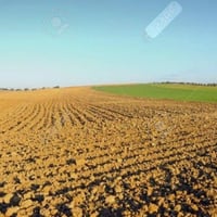 برية الربيضة • ١٠٠ دونم • قريب كهرباء