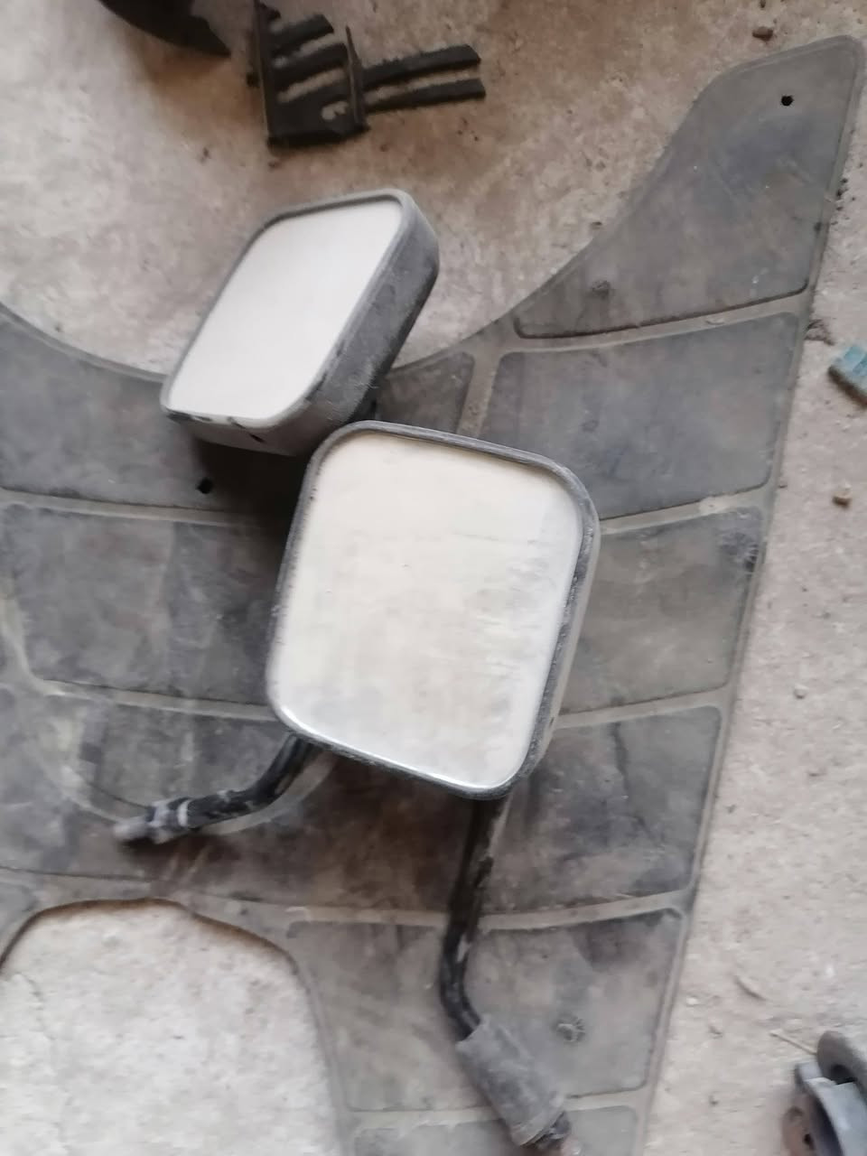 تفصيخ سبيسي • ياباني • كوت الشرقية