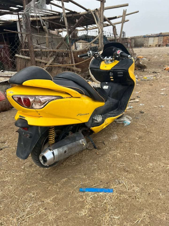 فورزا • صفر • ٢٠٠٩