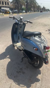 كلاسك فحل • نضيفه • سلف